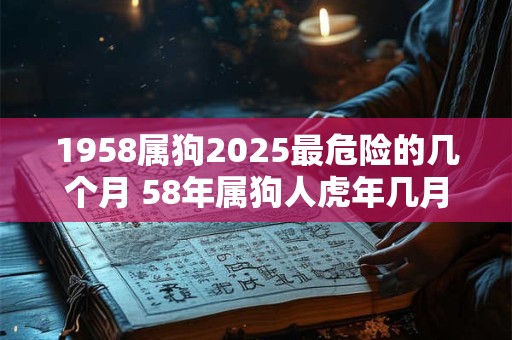 1958属狗2025最危险的几个月 58年属狗人虎年几月危险