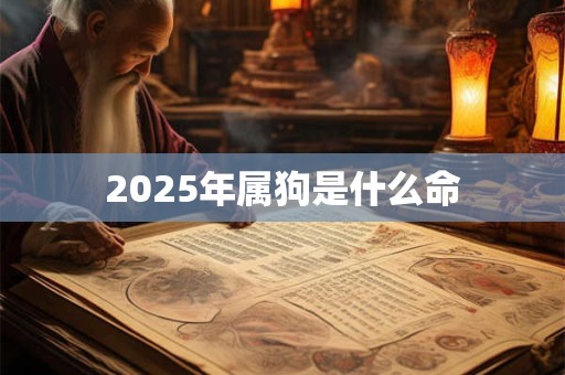 2025年属狗是什么命