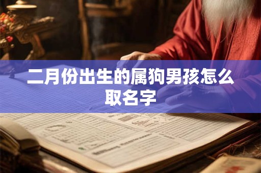 二月份出生的属狗男孩怎么取名字
