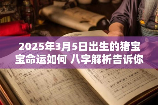 2025年3月5日出生的猪宝宝命运如何 八字解析告诉你
