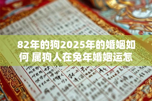 82年的狗2025年的婚姻如何 属狗人在兔年婚姻运怎么样