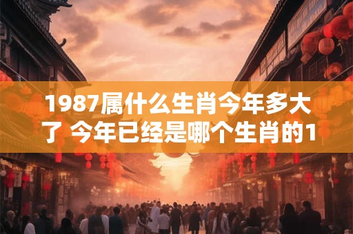 1987属什么生肖今年多大了 今年已经是哪个生肖的1987年出生的大年了这个生肖的年龄应该有多大啦