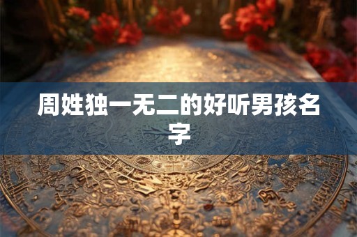 周姓独一无二的好听男孩名字