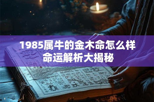 1985属牛的金木命怎么样 命运解析大揭秘