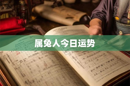 属兔人今日运势