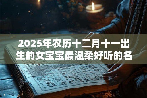 2025年农历十二月十一出生的女宝宝最温柔好听的名字