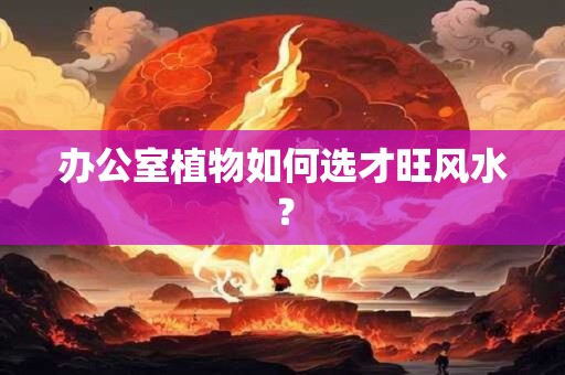 办公室植物如何选才旺风水？