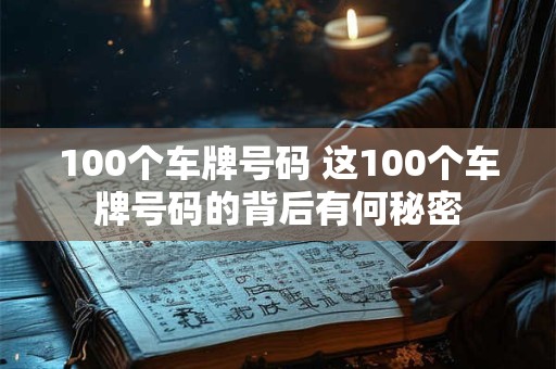 100个车牌号码 这100个车牌号码的背后有何秘密
