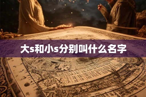 大s和小s分别叫什么名字