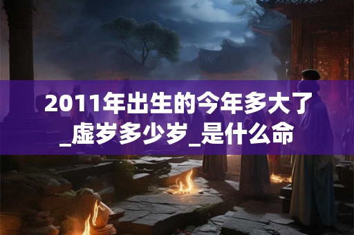 2011年出生的今年多大了_虚岁多少岁_是什么命
