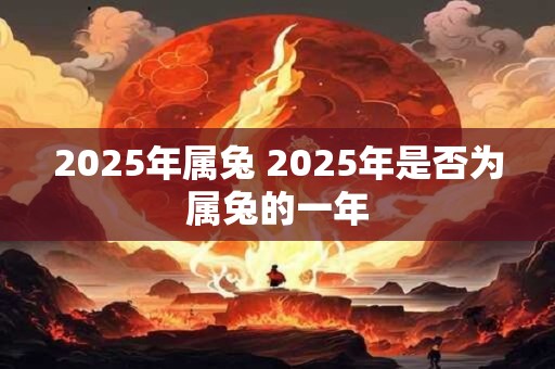 2025年属兔 2025年是否为属兔的一年 2025年属兔 2025年是否为属兔的一年