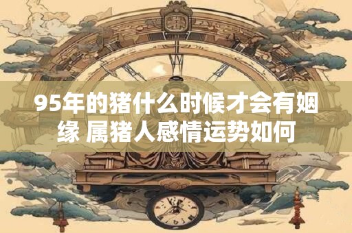 95年的猪什么时候才会有姻缘 属猪人感情运势如何