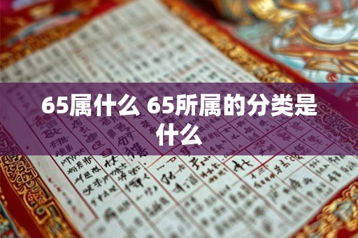 65属什么 65所属的分类是什么