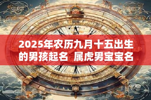 2025年农历九月十五出生的男孩起名  属虎男宝宝名字大全