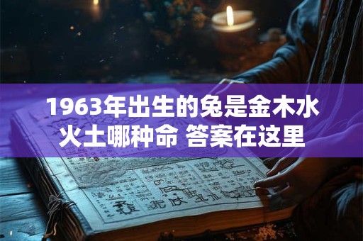 1963年出生的兔是金木水火土哪种命 答案在这里