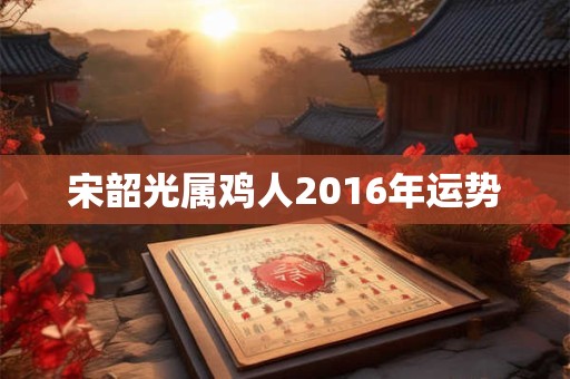 宋韶光属鸡人2016年运势