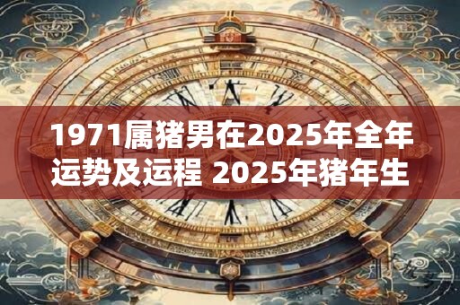 1971属猪男在2025年全年运势及运程 2025年猪年生肖男运势如何对1971年出生的人有何影响
