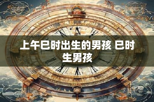 上午巳时出生的男孩 巳时生男孩