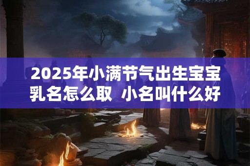 2025年小满节气出生宝宝乳名怎么取  小名叫什么好