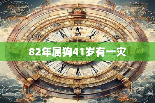 82年属狗41岁有一灾