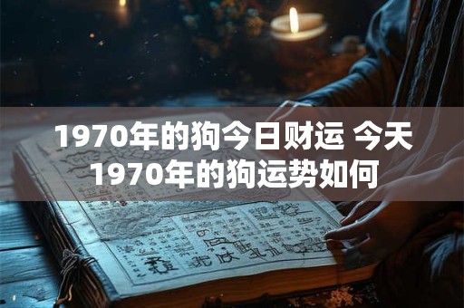 1970年的狗今日财运 今天1970年的狗运势如何