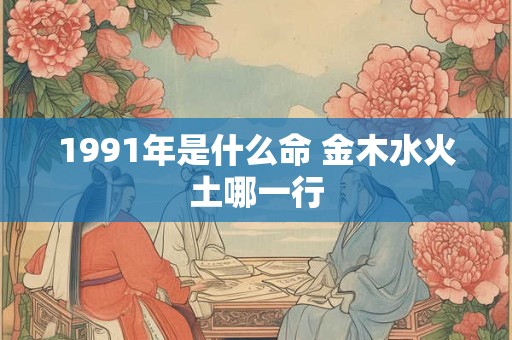 1991年是什么命 金木水火土哪一行