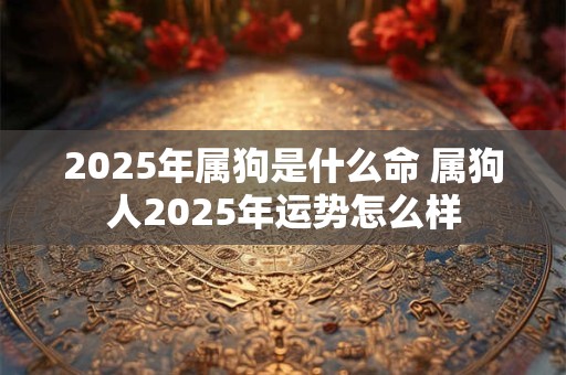 2025年属狗是什么命 属狗人2025年运势怎么样