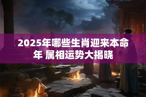 2025年哪些生肖迎来本命年 属相运势大揭晓