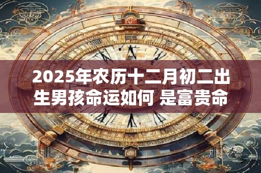 2025年农历十二月初二出生男孩命运如何 是富贵命吗