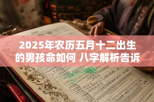 2025年农历五月十二出生的男孩命如何 八字解析告诉你