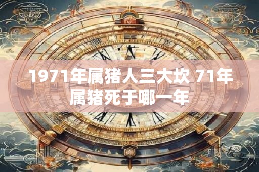 1971年属猪人三大坎 71年属猪死于哪一年