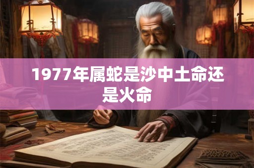 1977年属蛇是沙中土命还是火命 1977年属蛇是沙中土命还是火命