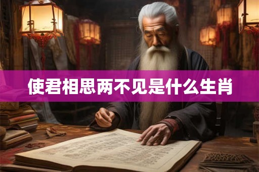 使君相思两不见是什么生肖