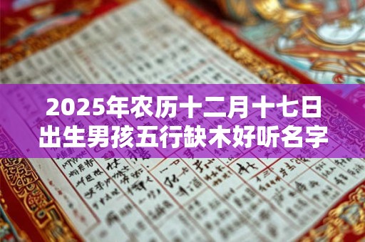 2025年农历十二月十七日出生男孩五行缺木好听名字推荐