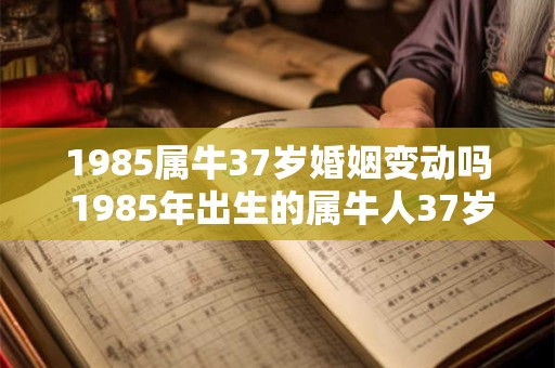 1985属牛37岁婚姻变动吗 1985年出生的属牛人37岁时是否会面临婚姻变动
