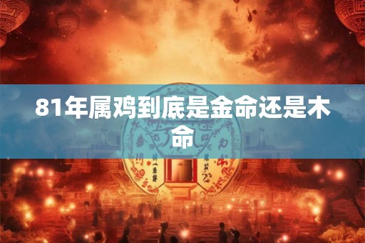 81年属鸡到底是金命还是木命