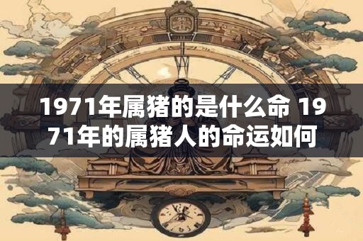 1971年属猪的是什么命 1971年的属猪人的命运如何