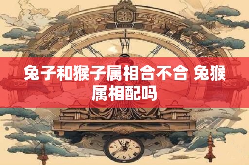 兔子和猴子属相合不合 兔猴属相配吗