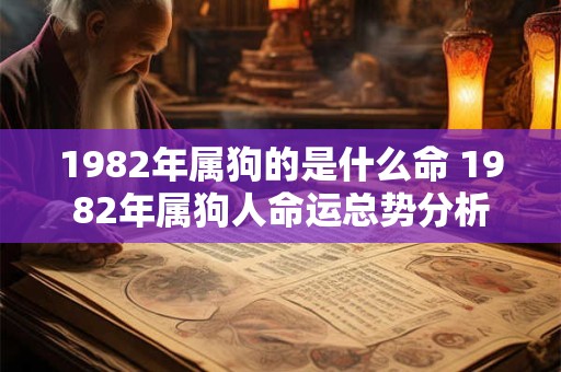 1982年属狗的是什么命 1982年属狗人命运总势分析