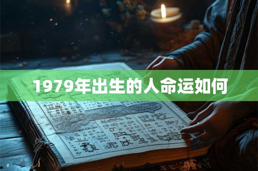 1979年出生的人命运如何