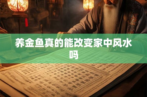 养金鱼真的能改变家中风水吗