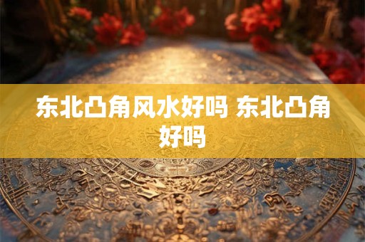 东北凸角风水好吗 东北凸角好吗