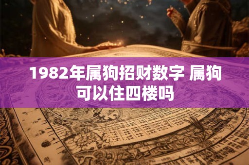 1982年属狗招财数字 属狗可以住四楼吗