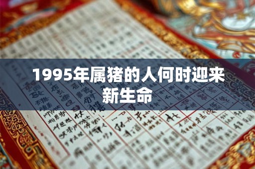 1995年属猪的人何时迎来新生命
