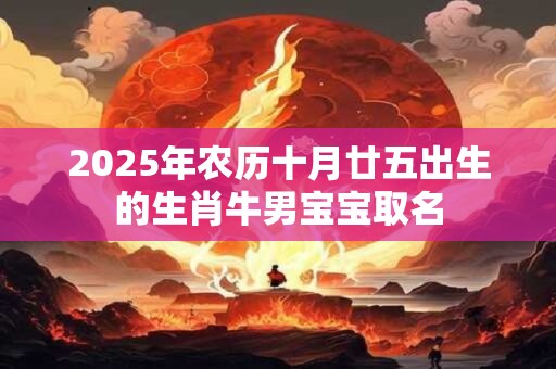 2025年农历十月廿五出生的生肖牛男宝宝取名
