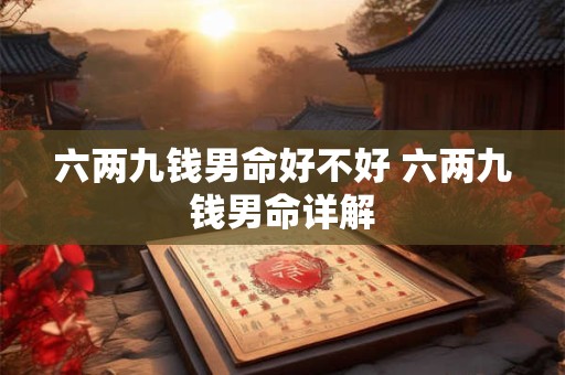 六两九钱男命好不好 六两九钱男命详解