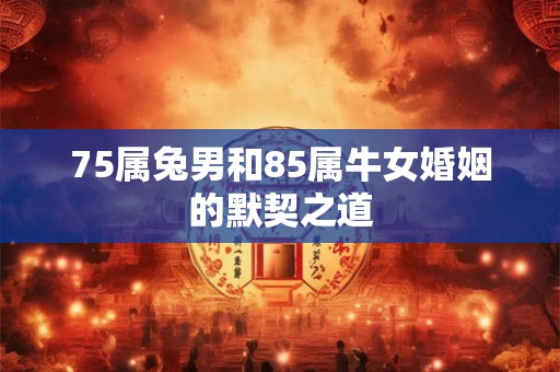 75属兔男和85属牛女婚姻的默契之道