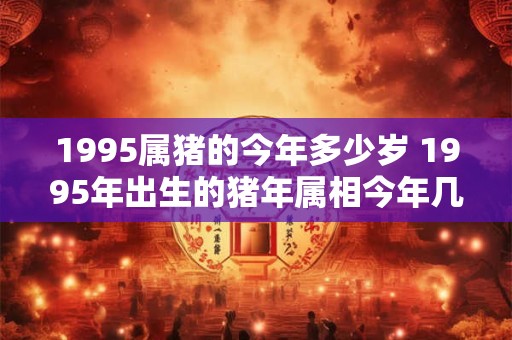 1995属猪的今年多少岁 1995年出生的猪年属相今年几岁