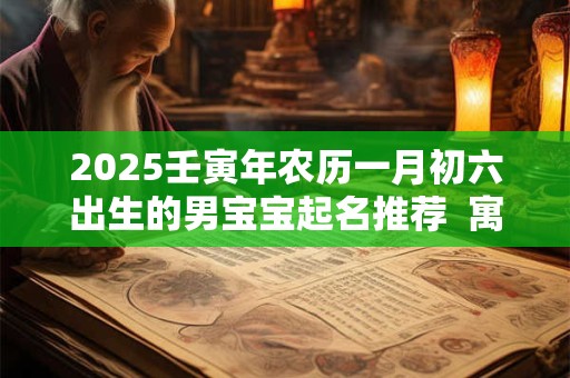 2025壬寅年农历一月初六出生的男宝宝起名推荐  寓意吉祥