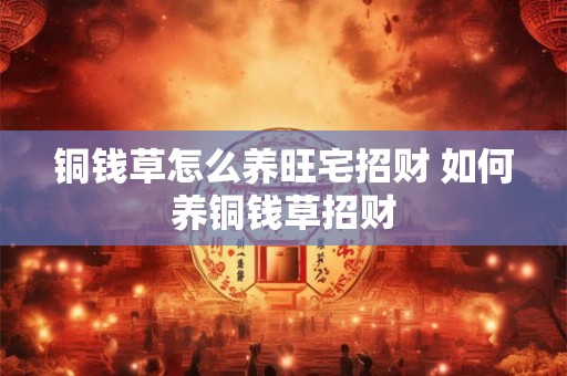 铜钱草怎么养旺宅招财 如何养铜钱草招财